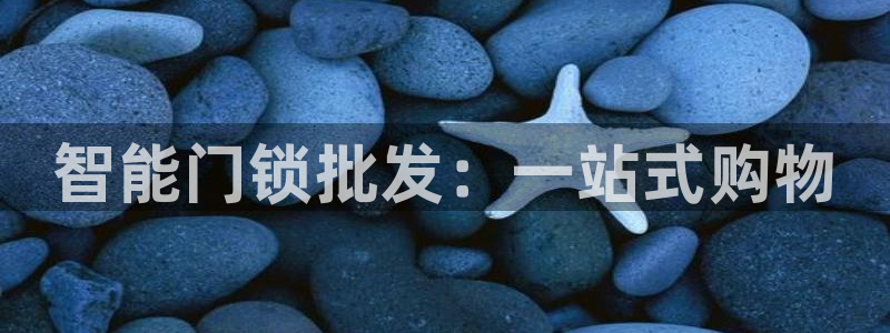 富联娱乐元歌：智能门锁批发：一站式购物