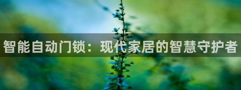 富联娱乐最新消息今天：智能自动门锁：现代家居的智慧守护者
