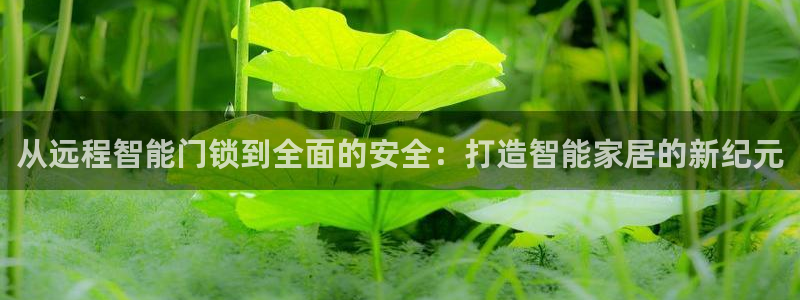 富联娱乐注册运唐老鸭779O3：从远程智能门锁到全面的安全：