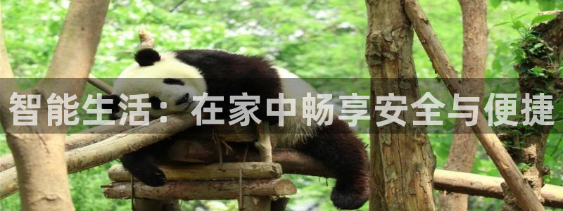 富联娱乐下载：智能生活：在家中畅享安全与便捷