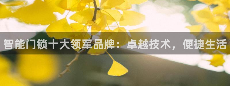 富联娱乐平台注册流程：智能门锁十大领军品牌：卓越技术，便捷生