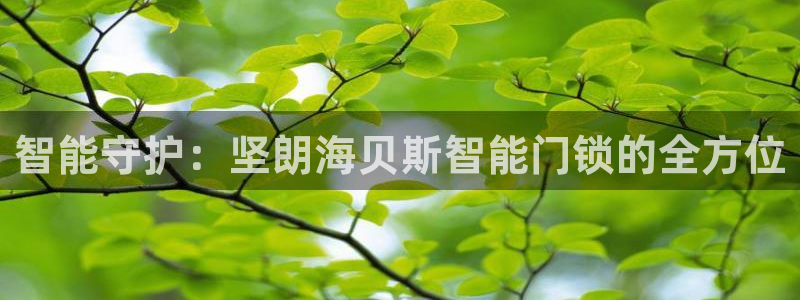 富联娱乐app官方下载安装：智能守护：坚朗海贝斯智能门锁的全
