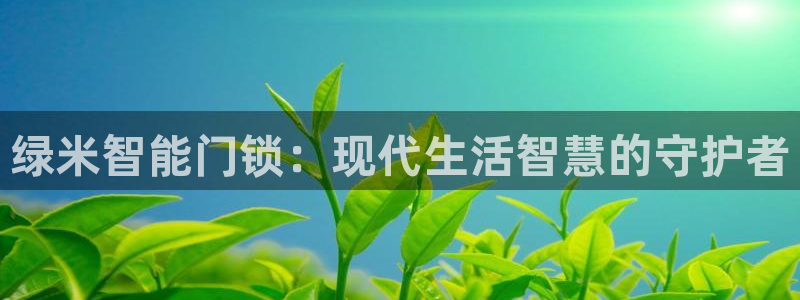 富联娱乐平台特点：绿米智能门锁：现代生活智慧的守护者