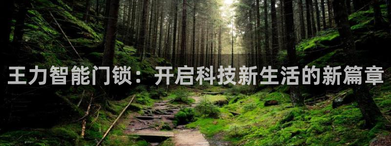 富联娱乐找qv382223：王力智能门锁：开启科技新生活的新