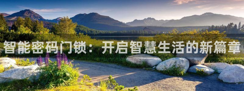 富联娱乐测速登录不了：智能密码门锁：开启智慧生活的新篇章