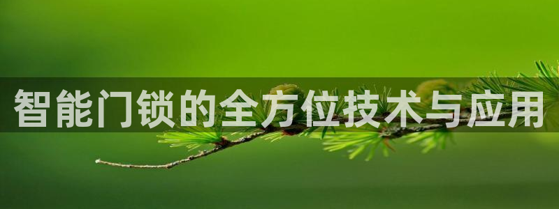 富联娱乐平台登陆：智能门锁的全方位技术与应用