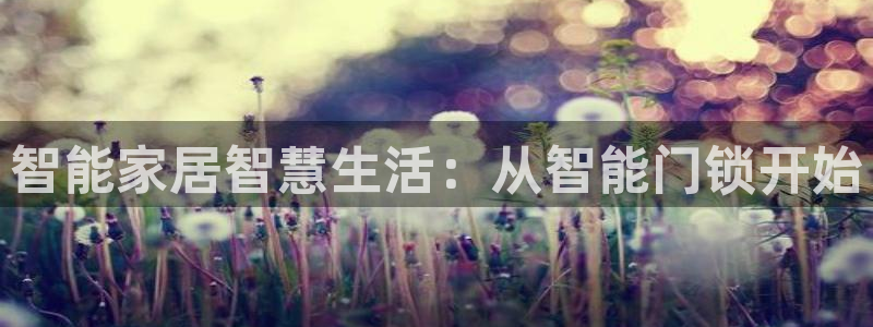 佰富联娱乐团购怎么样：智能家居智慧生活：从智能门锁开始