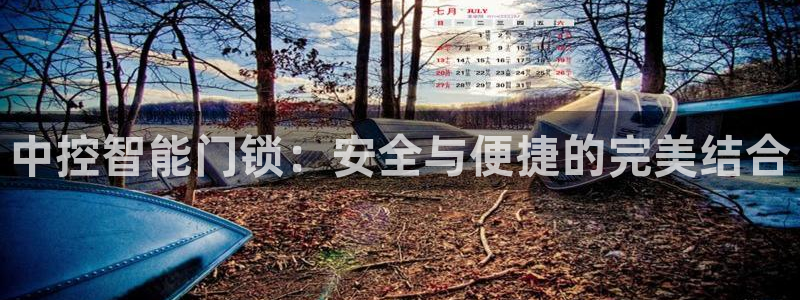 富联娱乐主管：中控智能门锁：安全与便捷的完美结合