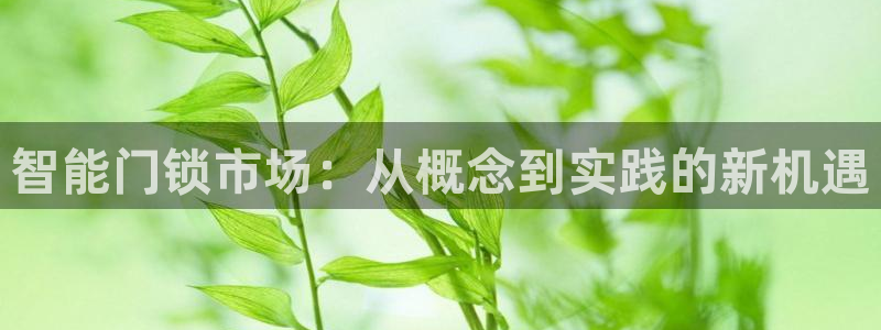 富联娱乐招商命判官333OO：智能门锁市场：从概念到实践的新