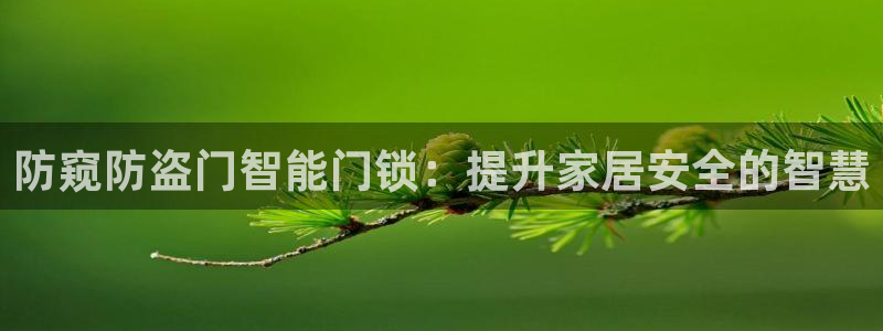 富联娱乐2853179Z空间：防窥防盗门智能门锁：提升家居安