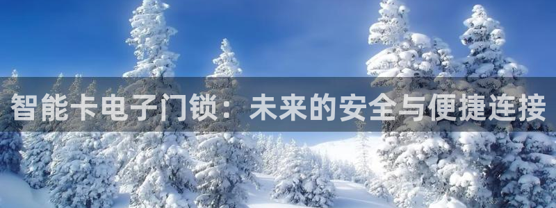 富联娱乐是正规平台吗：智能卡电子门锁：未来的安全与便捷连接