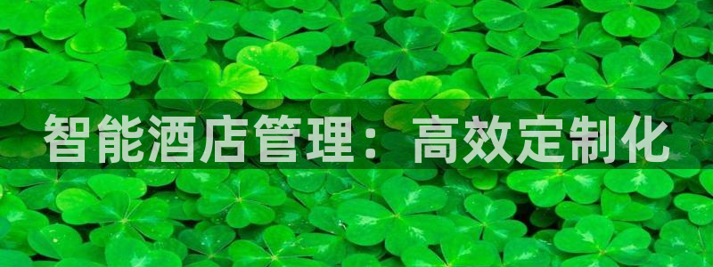 富联娱乐测速软件下载：智能酒店管理：高效定制化