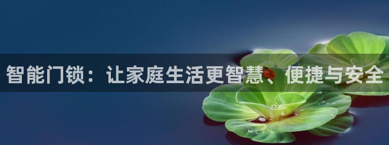 富联娱乐注册地址上海：智能门锁：让家庭生活更智慧、便捷与安全