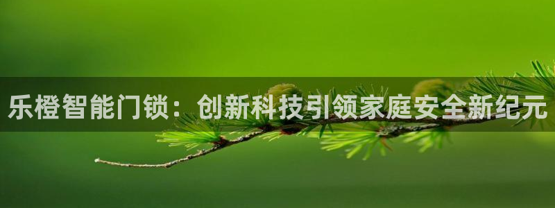 富联娱乐下载免费版：乐橙智能门锁：创新科技引领家庭安全新纪元