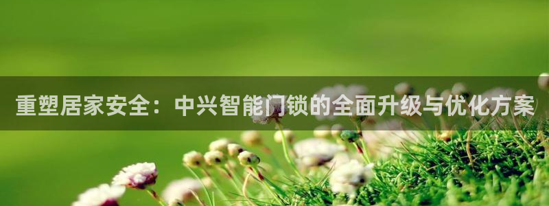 富联娱乐招商主管部门：重塑居家安全：中兴智能门锁的全面升级与