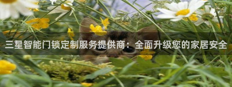 富联娱乐联37997筘：三星智能门锁定制服务提供商：全面升级