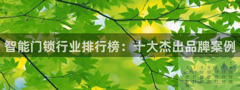 富联娱乐在线官网首页：智能门锁行业排行榜：十大杰出品牌案例