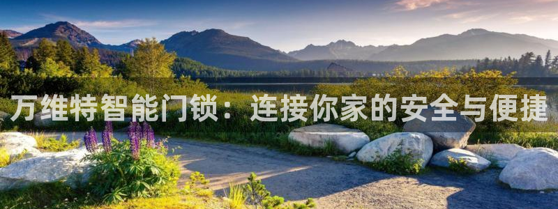 富联娱乐主营业务有哪些：万维特智能门锁：连接你家的安全与便捷