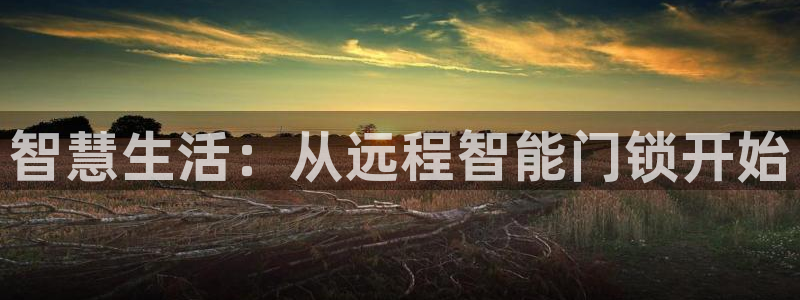 富联娱乐是什么公司的：智慧生活：从远程智能门锁开始