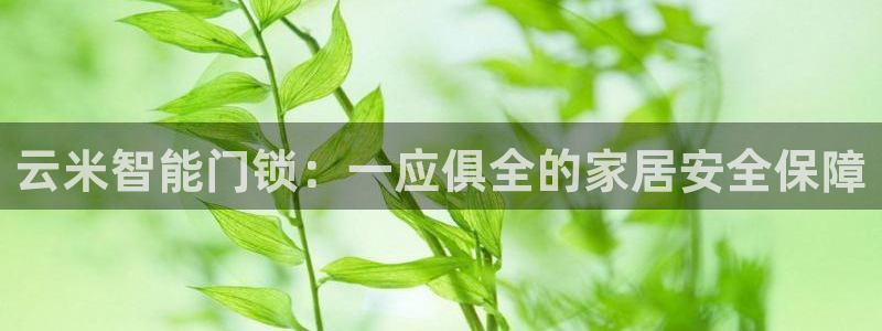 富联娱乐里拔7276O：云米智能门锁：一应俱全的家居安全保障