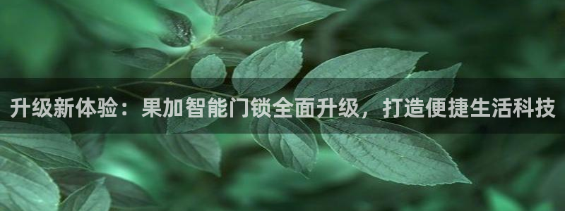 富联娱乐主管施判官333OO：升级新体验：果加智能门锁全面升