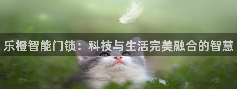 富联娱乐测速app：乐橙智能门锁：科技与生活完美融合的智慧