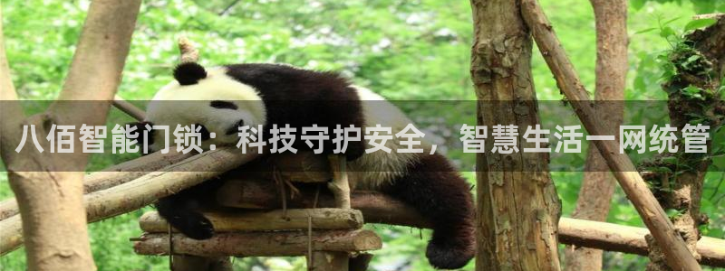 富联娱乐主营业务是什么：八佰智能门锁：科技守护安全，智慧生活