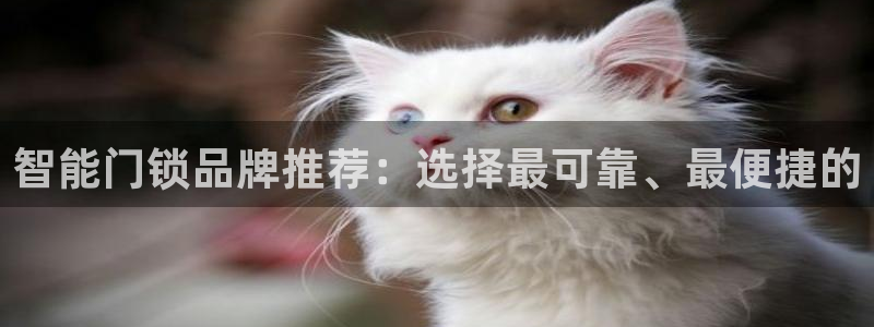 富联娱乐首页：智能门锁品牌推荐：选择最可靠、最便捷的