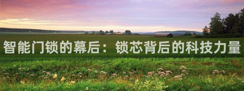 富联娱乐吧：智能门锁的幕后：锁芯背后的科技力量