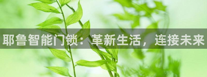 富联2娱乐首页下载安装：耶鲁智能门锁：革新生活，连接未来