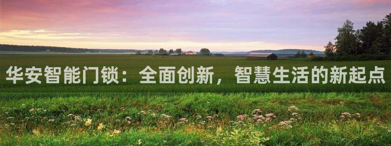 富联娱乐主管效判官333OO：华安智能门锁：全面创新，智慧生