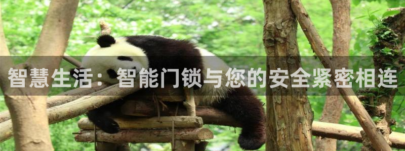 富联娱乐与六七五一38：智慧生活：智能门锁与您的安全紧密相连