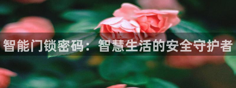 富联娱乐总代理是谁：智能门锁密码：智慧生活的安全守护者