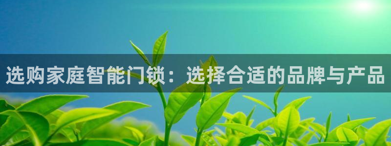富联娱乐客户端登录：选购家庭智能门锁：选择合适的品牌与产品