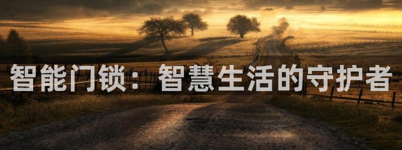 富联娱乐开户费用查询：智能门锁：智慧生活的守护者