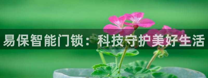 富联娱乐账号注册不了：易保智能门锁：科技守护美好生活