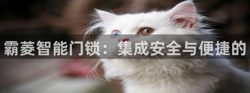 富联娱乐下载官网app：霸菱智能门锁：集成安全与便捷的