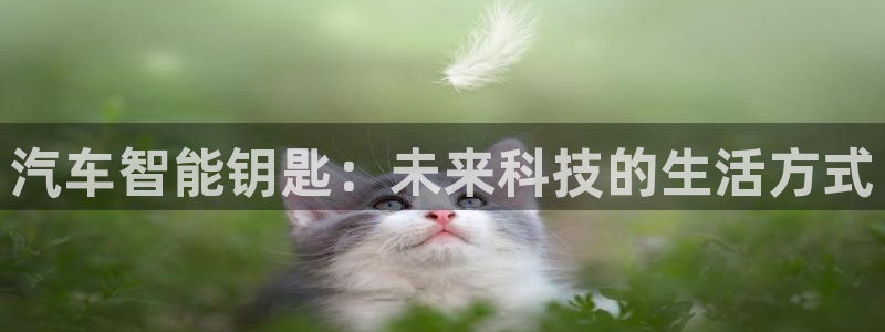 富联娱乐官网注册入口下载：汽车智能钥匙：未来科技的生活方式