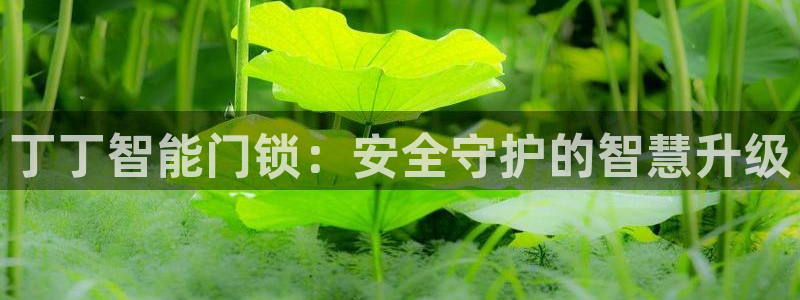 富联娱乐服务站地址：丁丁智能门锁：安全守护的智慧升级