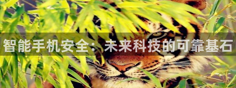 富联娱乐主管去天神779O3：智能手机安全：未来科技的可靠基
