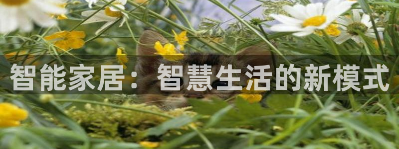 富联娱乐服务站电话：智能家居：智慧生活的新模式
