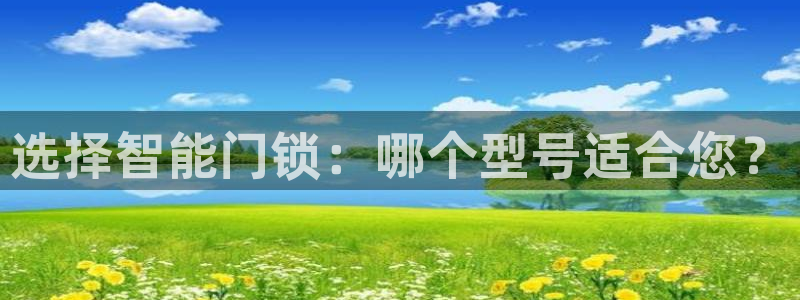 富联娱乐公司简介图片：选择智能门锁：哪个型号适合您？