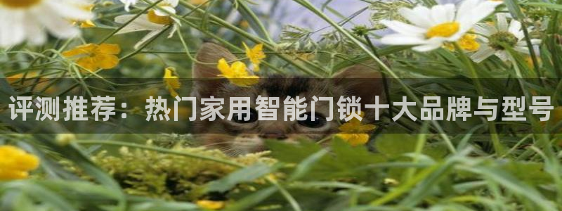富联娱乐app更新时间：评测推荐：热门家用智能门锁十大品牌与