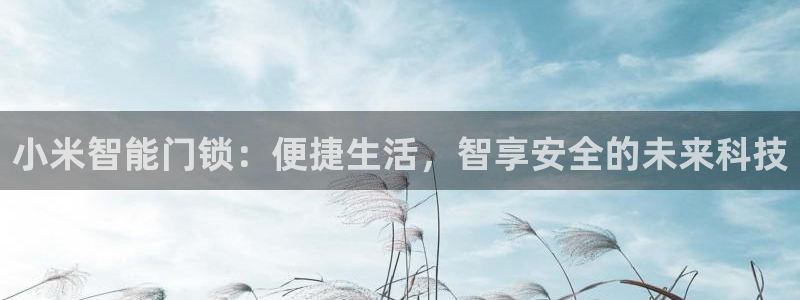 富联娱乐元哥是谁的老婆：小米智能门锁：便捷生活，智享安全的未