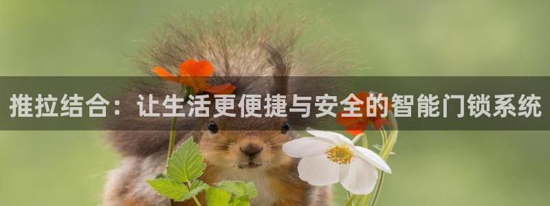 富联娱乐贴吧官网首页：推拉结合：让生活更便捷与安全的智能门锁