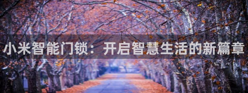 富联2娱乐首页下载安装：小米智能门锁：开启智慧生活的新篇章