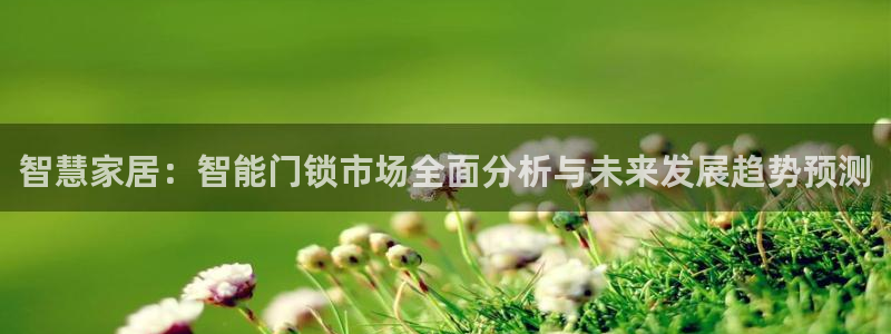 富联娱乐服务公司：智慧家居：智能门锁市场全面分析与未来发展趋