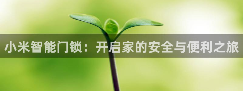富联娱乐找37997筘：小米智能门锁：开启家的安全与便利之旅