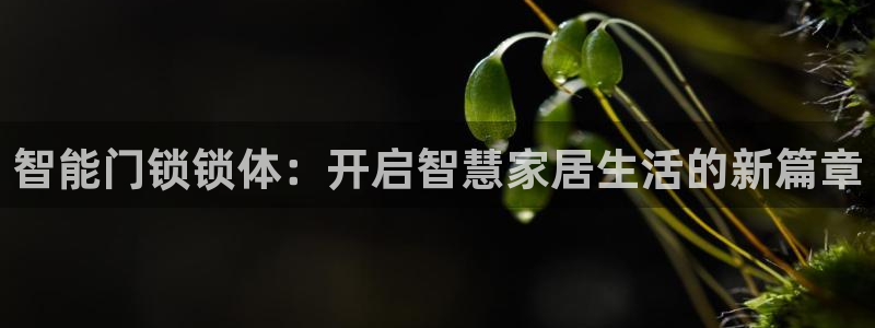 富联娱乐丁六七伍一三八：智能门锁锁体：开启智慧家居生活的新篇