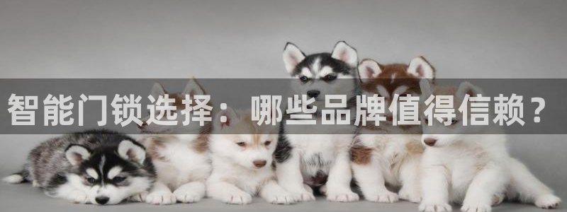富联娱乐在线观看视频：智能门锁选择：哪些品牌值得信赖？